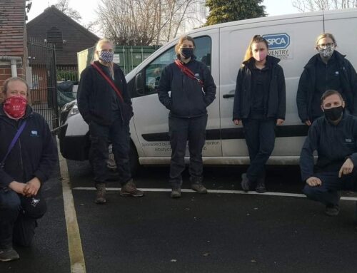 RSPCA STAFF ON THE RUN TO RAISE FUNDS!